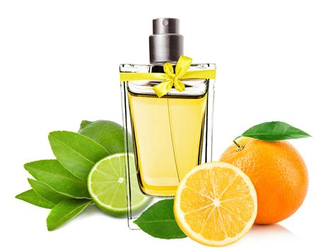 citrus fragrance reviews.